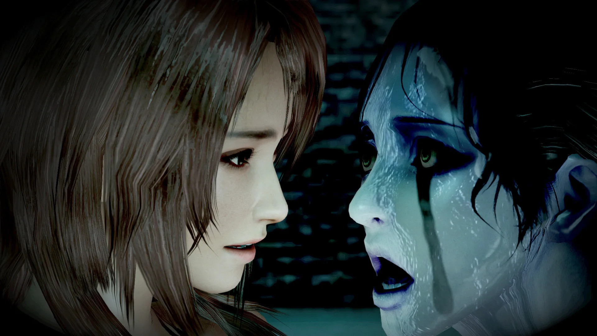 零 ～濡鸦之巫女 / PROJECT ZERO: Maiden of Black Water 免Steam单机游戏 全DLC中文绿色版 百度/夸克/迅雷 网盘下载