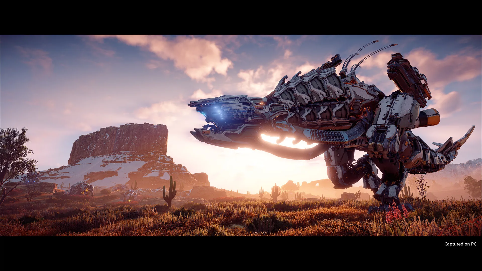 地平线 零之曙光 / Horizon Zero Dawn 免Steam单机 一键安装版