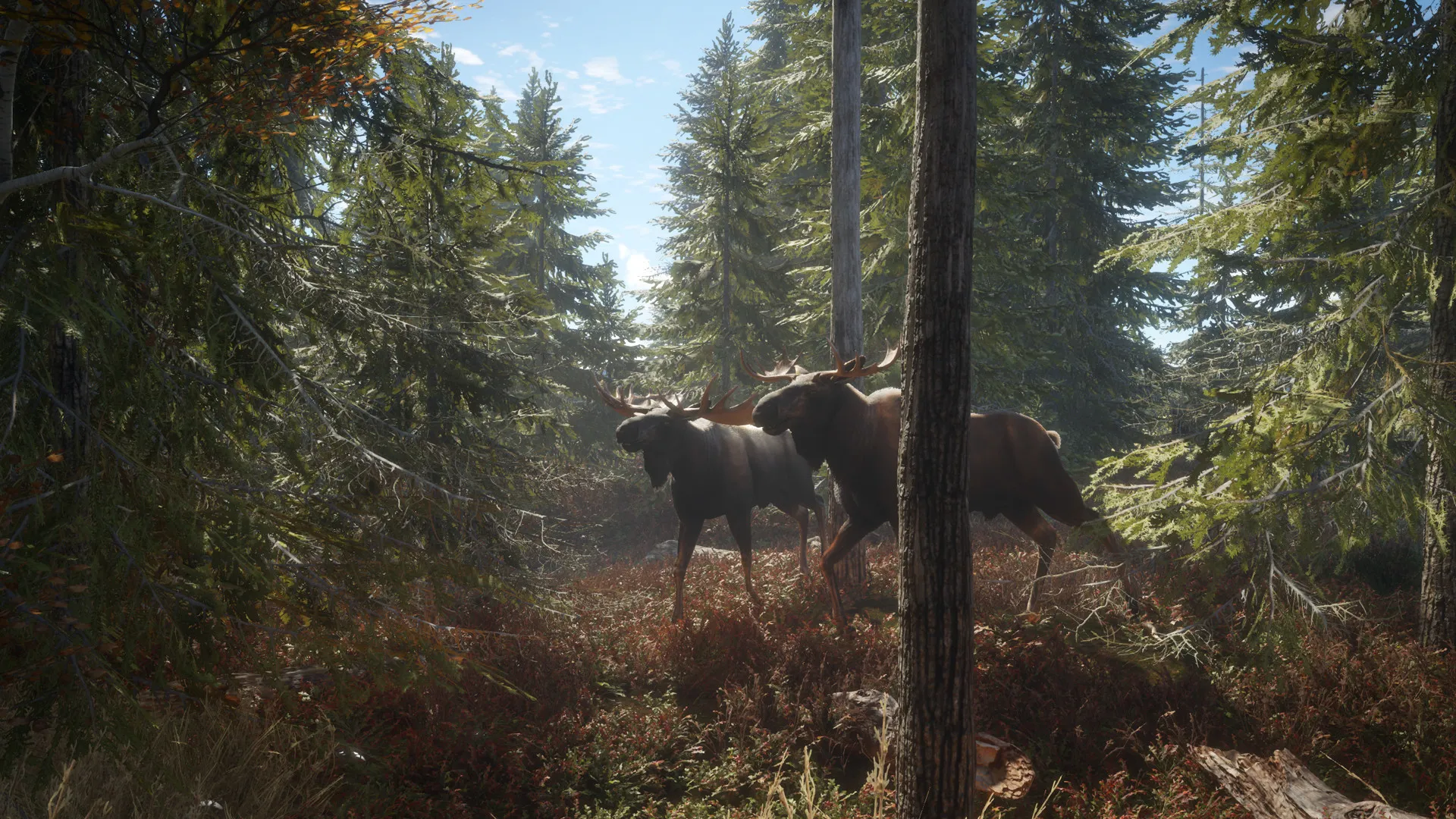 猎人:荒野的召唤 / theHunter: Call of the Wild 免Steam单机游戏 一键安装版