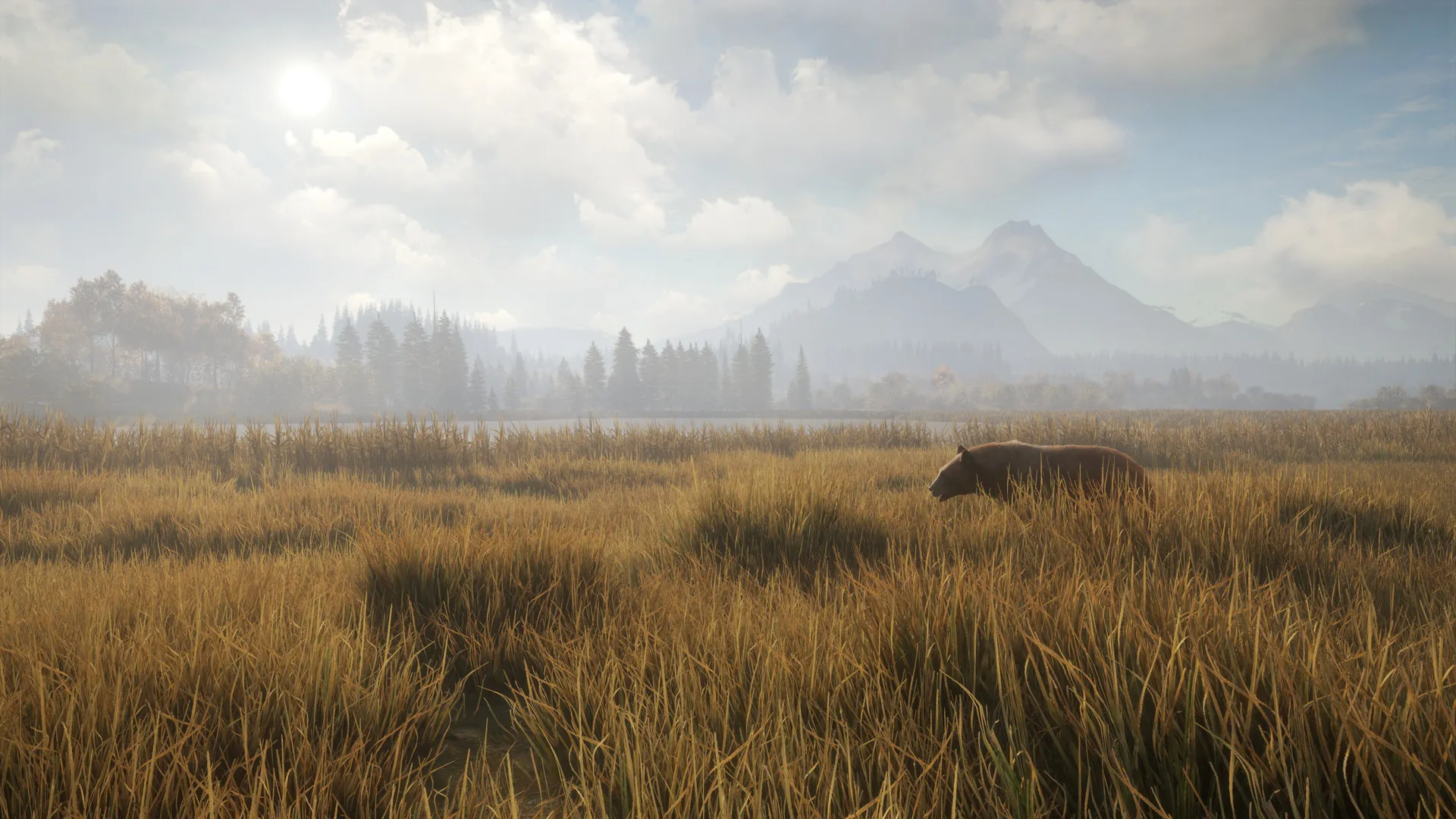 猎人:荒野的召唤 / theHunter: Call of the Wild 免Steam单机游戏 一键安装版