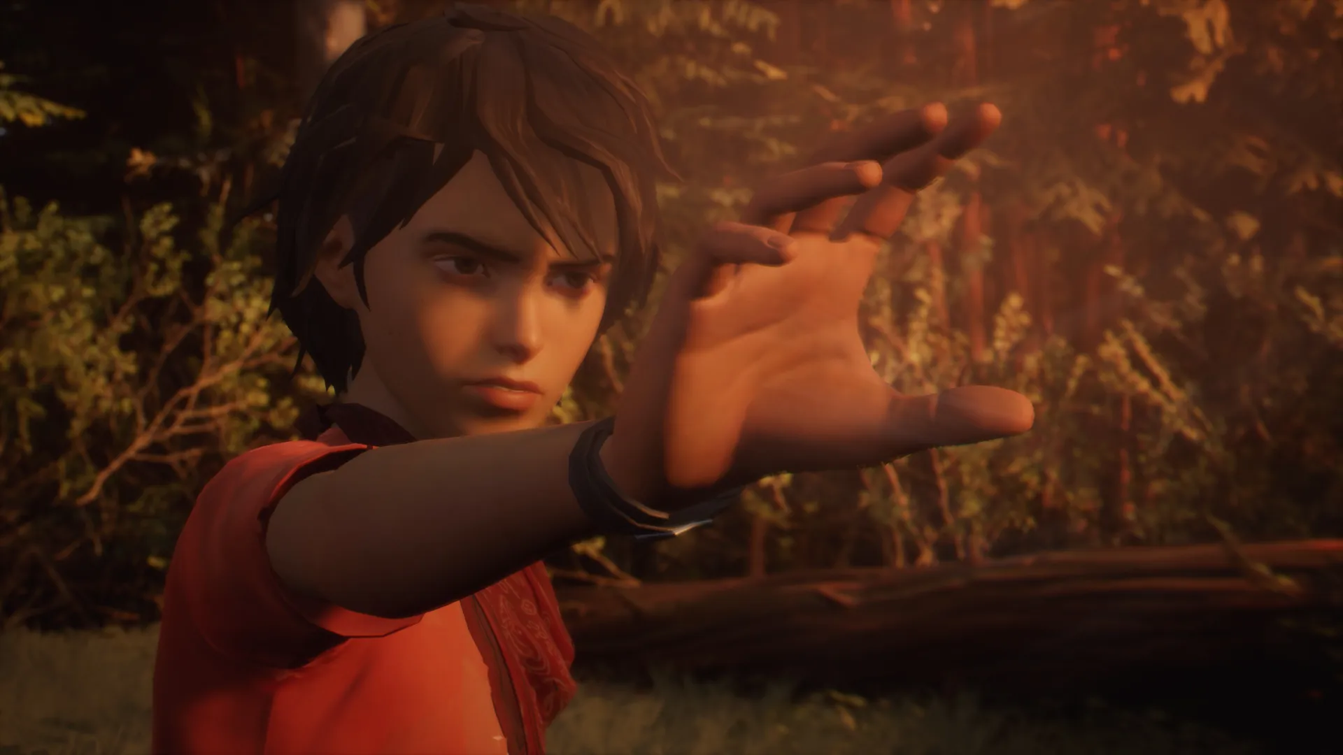奇异人生 2 / Life is Strange 2 免Steam单机 一键安装版