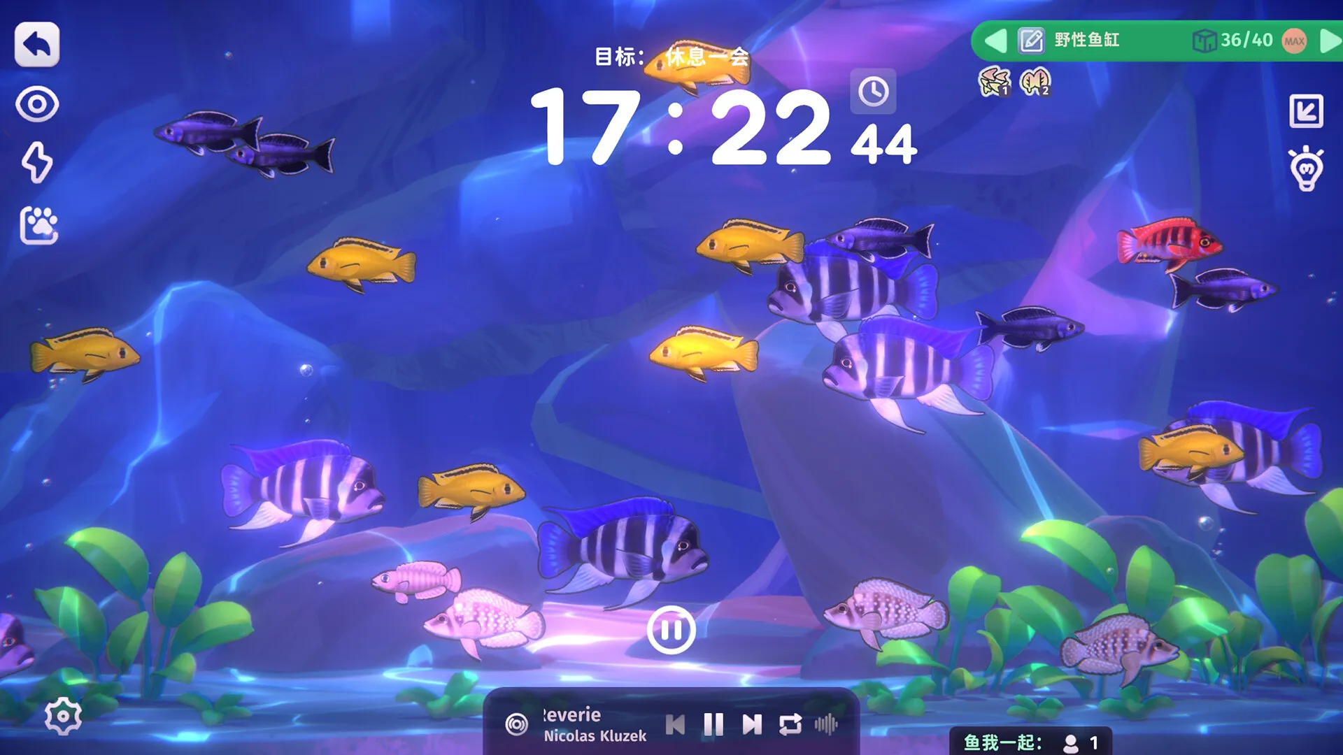 鱼我一起: 水愈时光 / With Me: Aquatic Time 免Steam单机游戏 一键安装版 全DLC中文绿色版 百度/夸克/迅雷 网盘下载