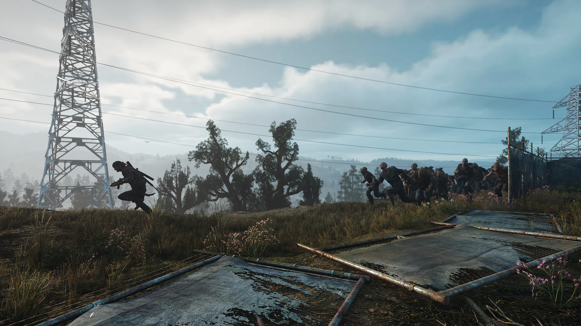 往日不再 / Days Gone 免Steam单机游戏 全DLC中文绿色版 百度/夸克/迅雷 网盘下载