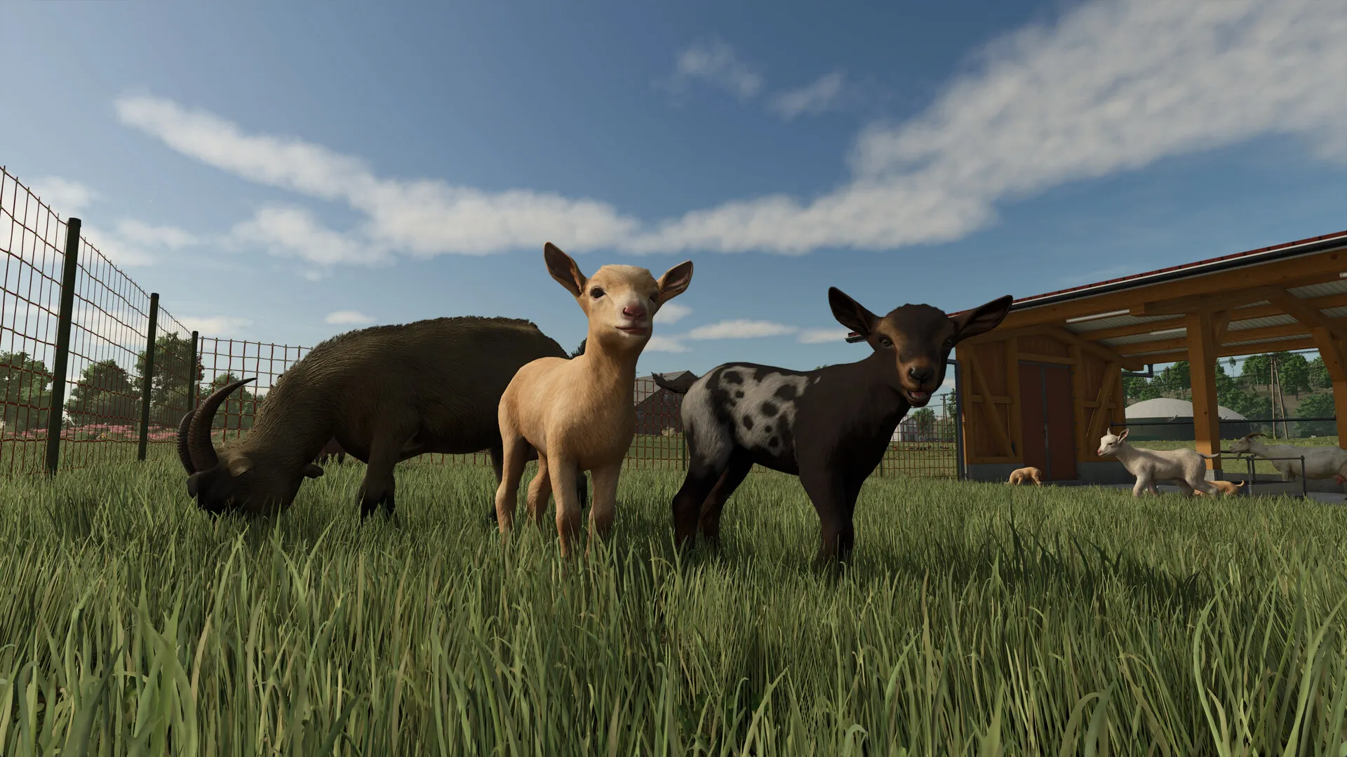 农场模拟25 / Farming Simulator 25 免Steam单机 一键安装版