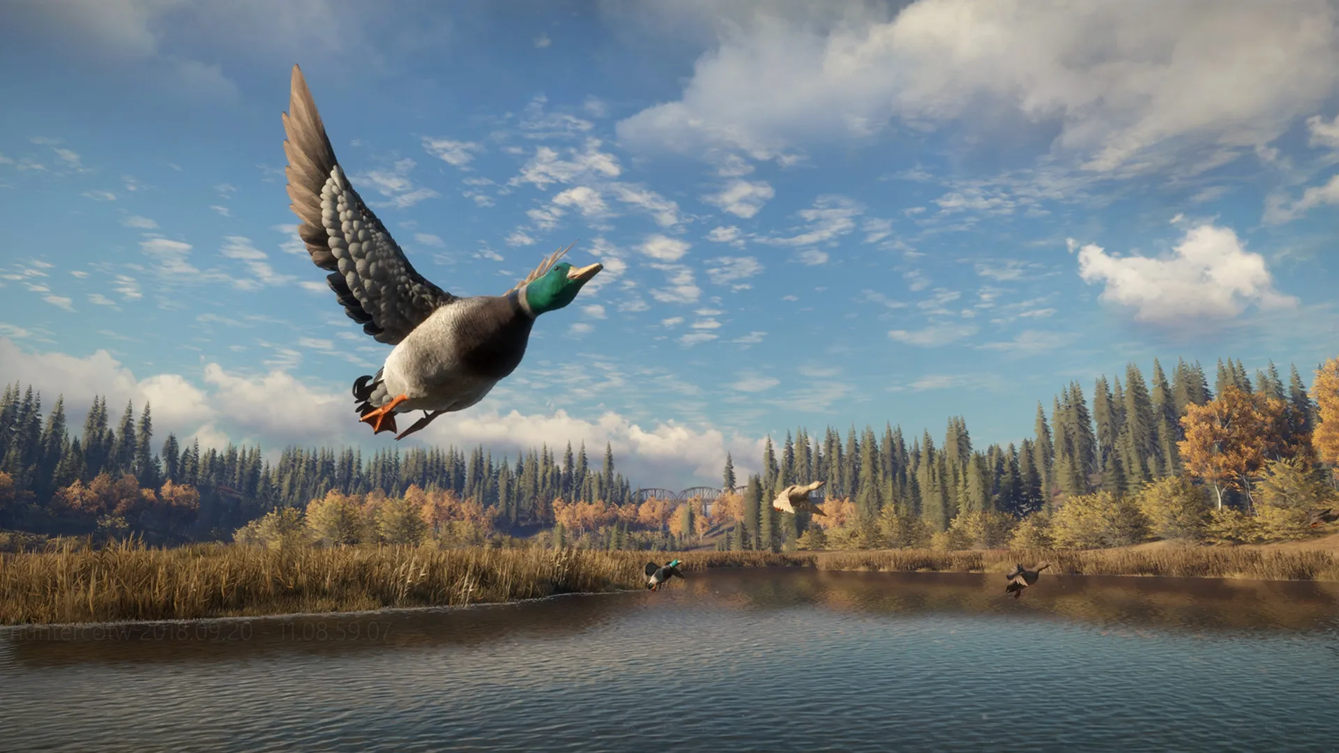 猎人:荒野的召唤 / theHunter: Call of the Wild 免Steam单机游戏 一键安装版