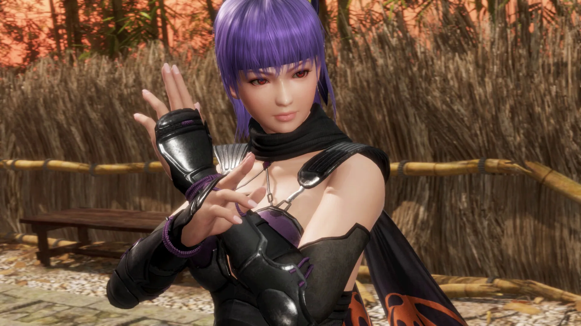 死或生6：最后一战 / DEAD OR ALIVE 6 Last Round 免Steam单机 一键安装版