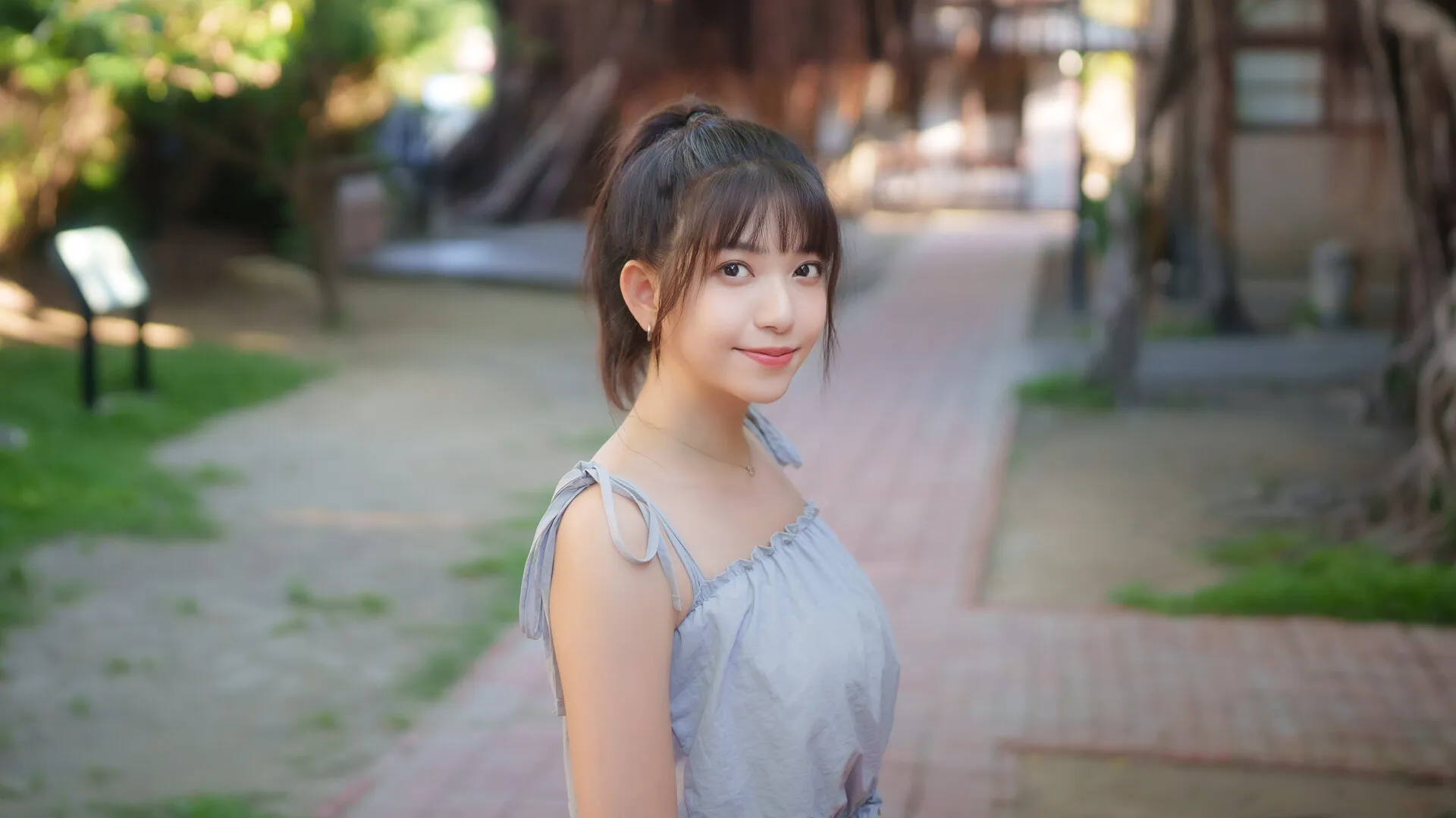 台北仲夏夜之梦 免Steam单机游戏 一键安装版 全DLC中文绿色版 百度/夸克/迅雷 网盘下载