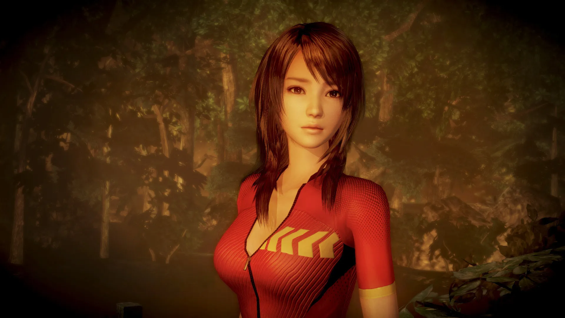 零 ～濡鸦之巫女 / PROJECT ZERO: Maiden of Black Water 免Steam单机游戏 全DLC中文绿色版 百度/夸克/迅雷 网盘下载