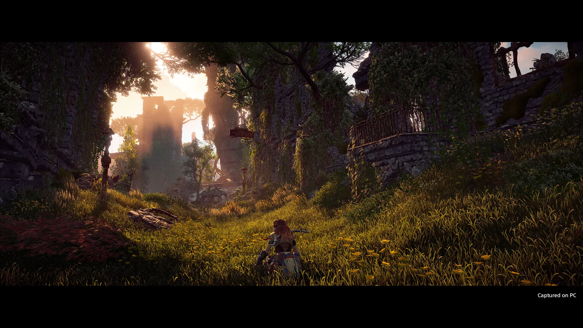 地平线 零之曙光 / Horizon Zero Dawn 免Steam单机 一键安装版