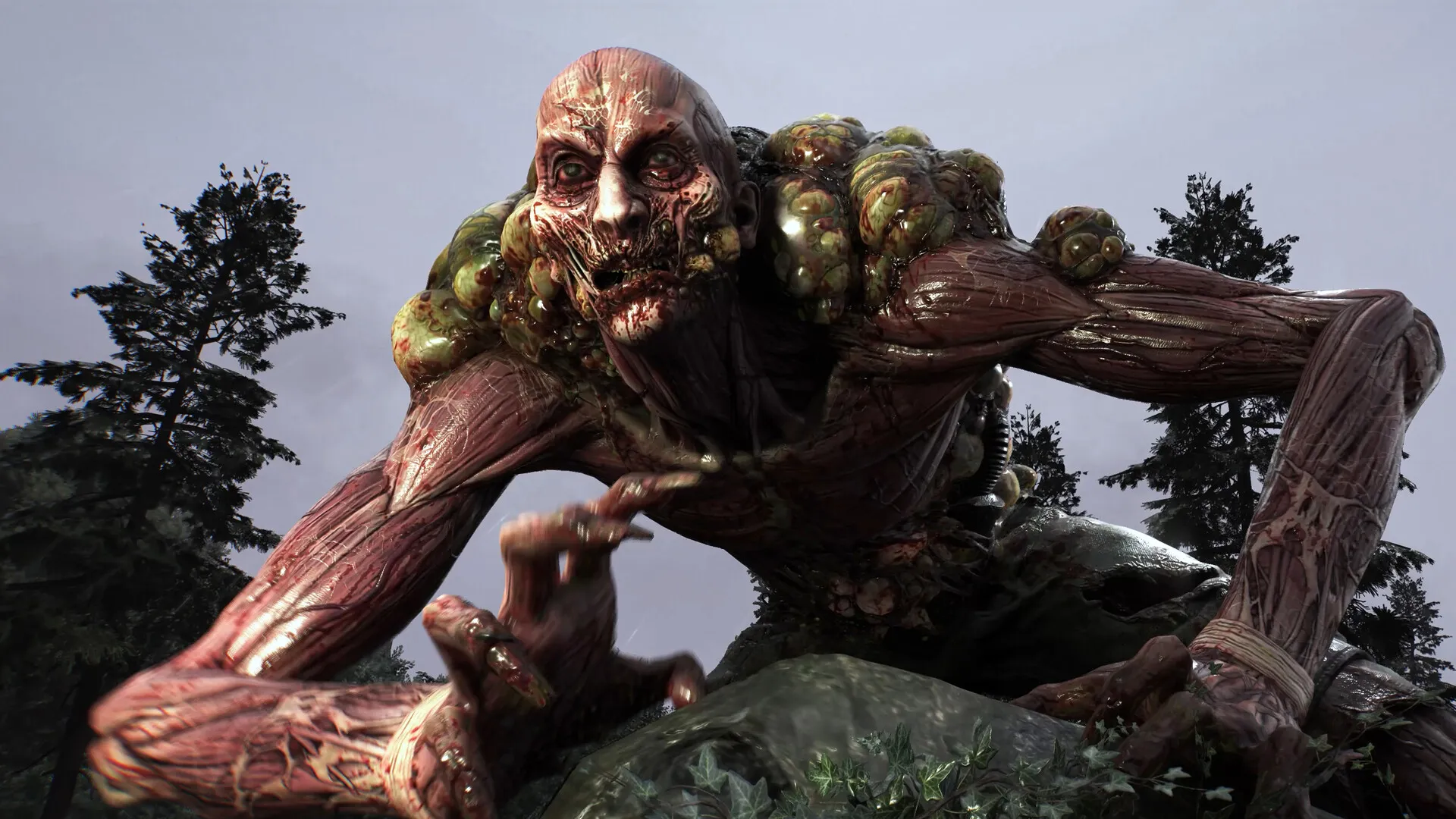 消逝的光芒:困兽 / Dying Light: The Beast 免Steam单机 一键安装版