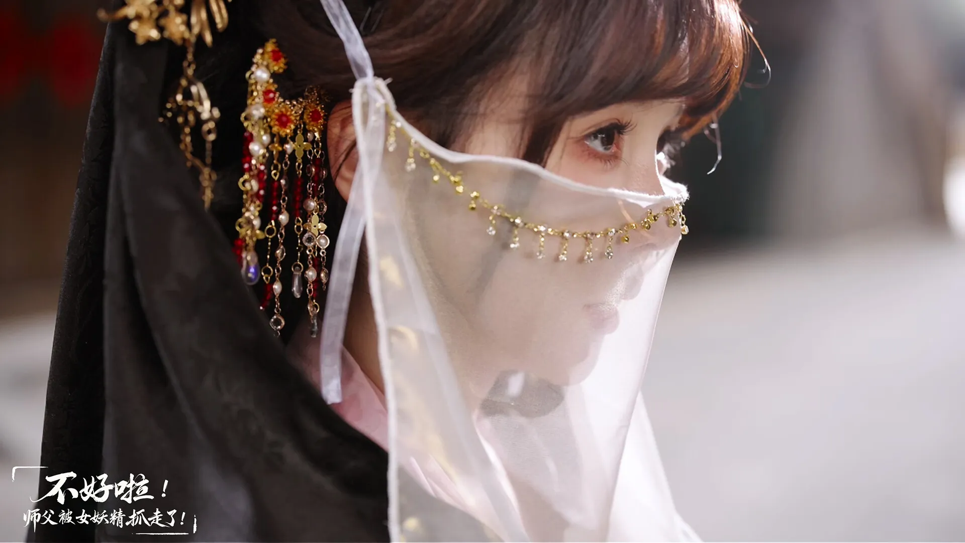 不好啦！师父被女妖精抓走了/SIFU Kidnapped! Adventure in the Women's Kingdom 免Steam单机游戏 一键安装版 全DLC中文绿色版 百度/夸克/迅雷 网盘下载
