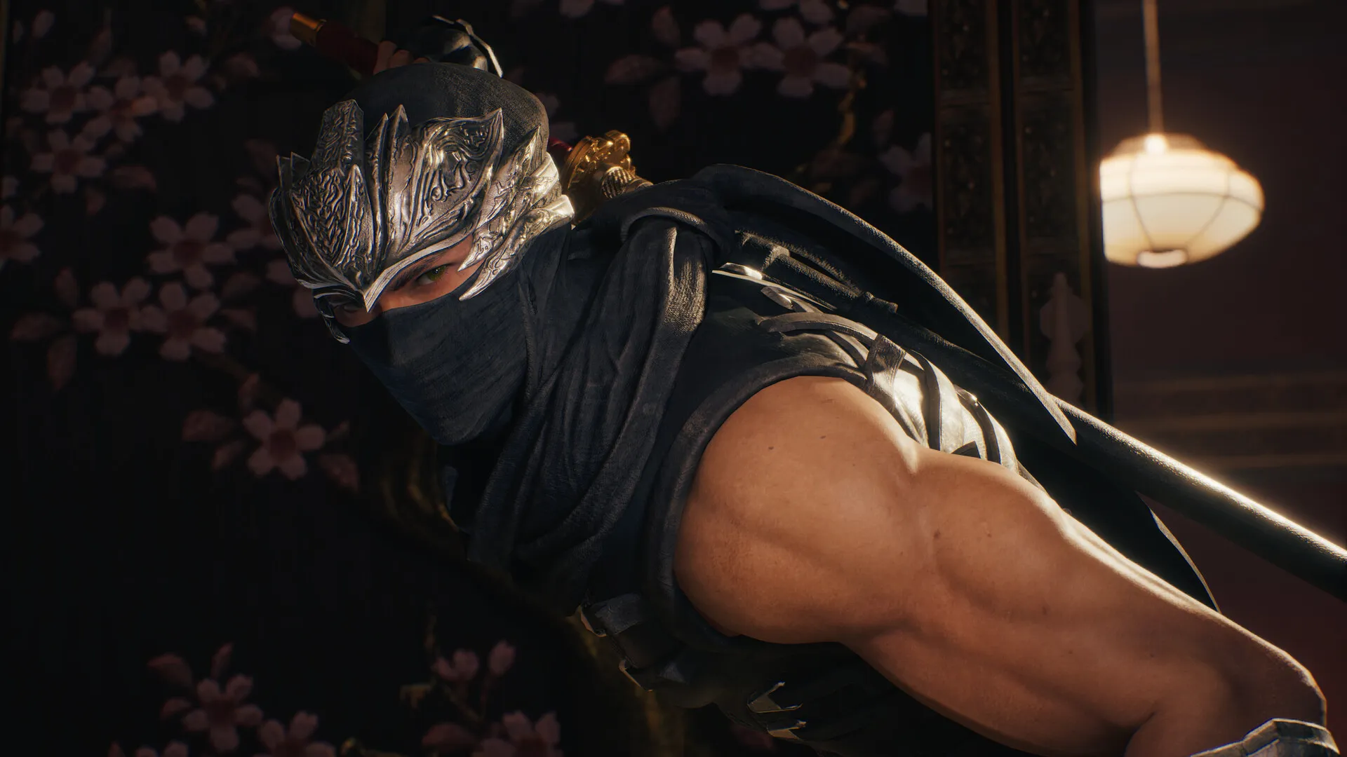 忍者龙剑传2：黑之章 / NINJA GAIDEN 2 Black 免Steam单机 一键安装版即
