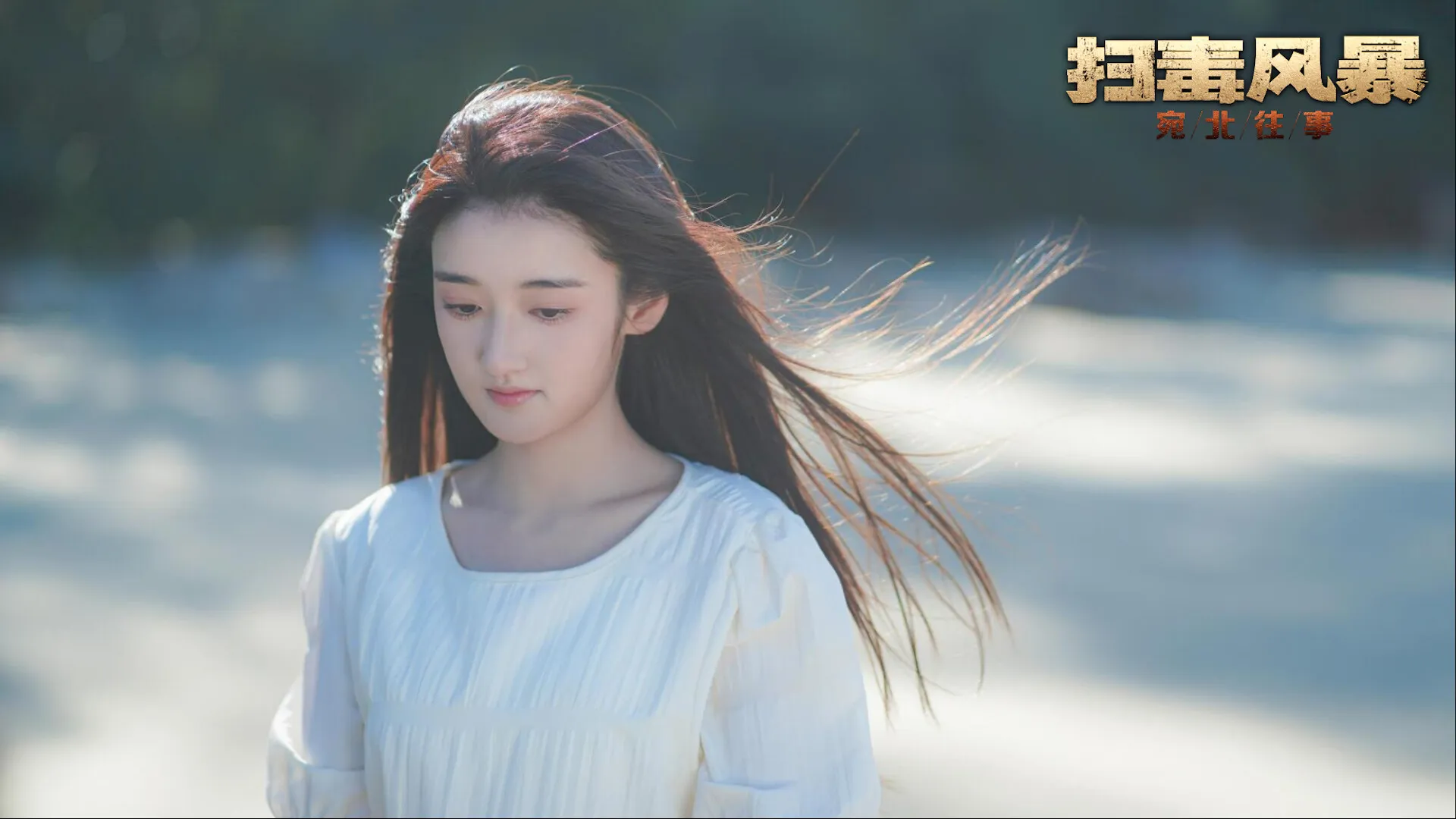 扫毒风暴:宛北往事 免Steam单机 一键安装版