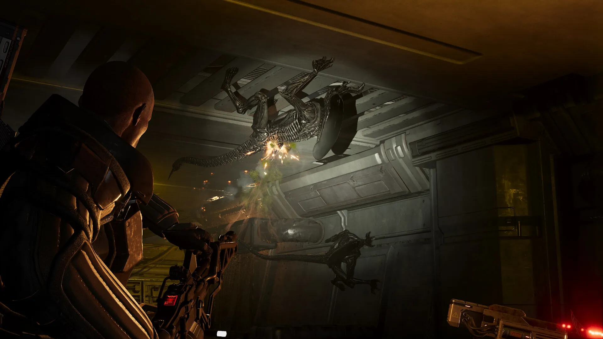 异形：火力精英2 / Aliens: Fireteam Elite 2 免Steam单机游戏 全DLC中文绿色版 百度/夸克/迅雷 网盘下载
