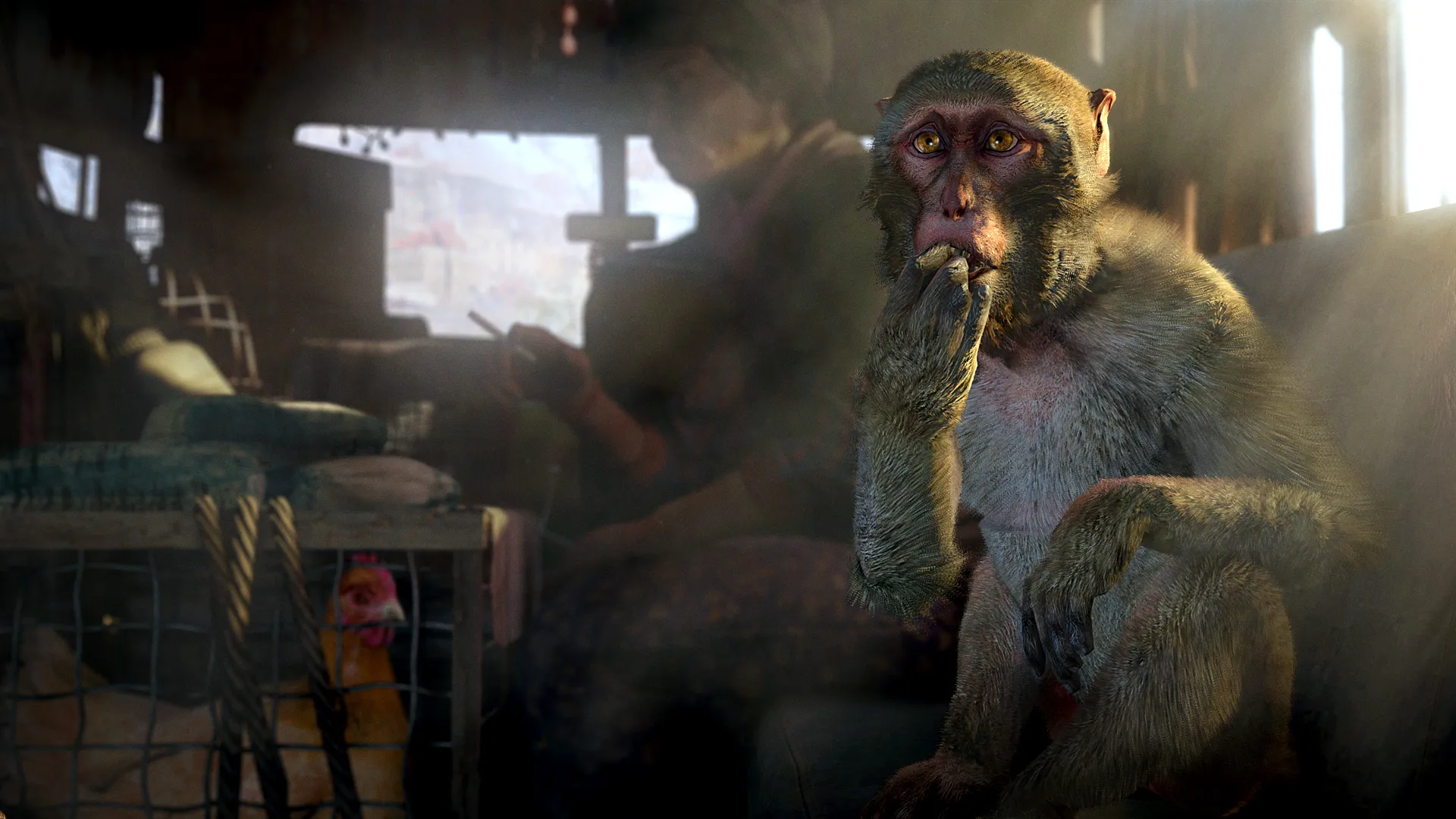 孤岛惊魂4 / Far Cry 4 免Steam单机 一键安装版
