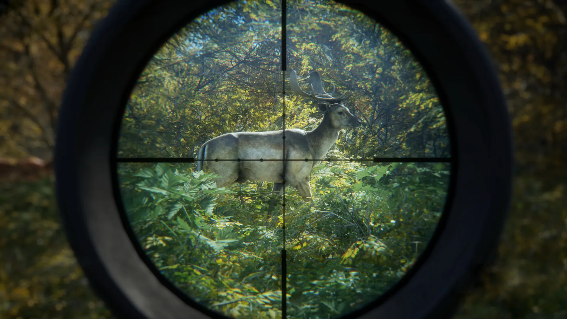 猎人:荒野的召唤 / theHunter: Call of the Wild 免Steam单机游戏 一键安装版