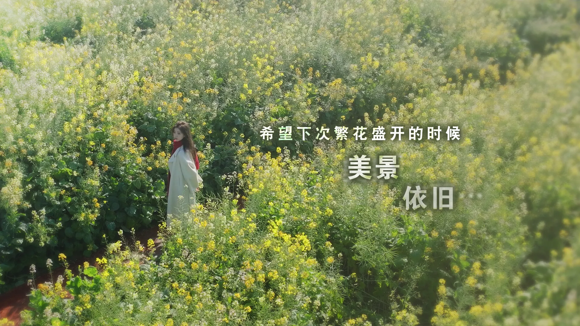 这个是真的喜欢！ 免Steam单机游戏 一键安装版