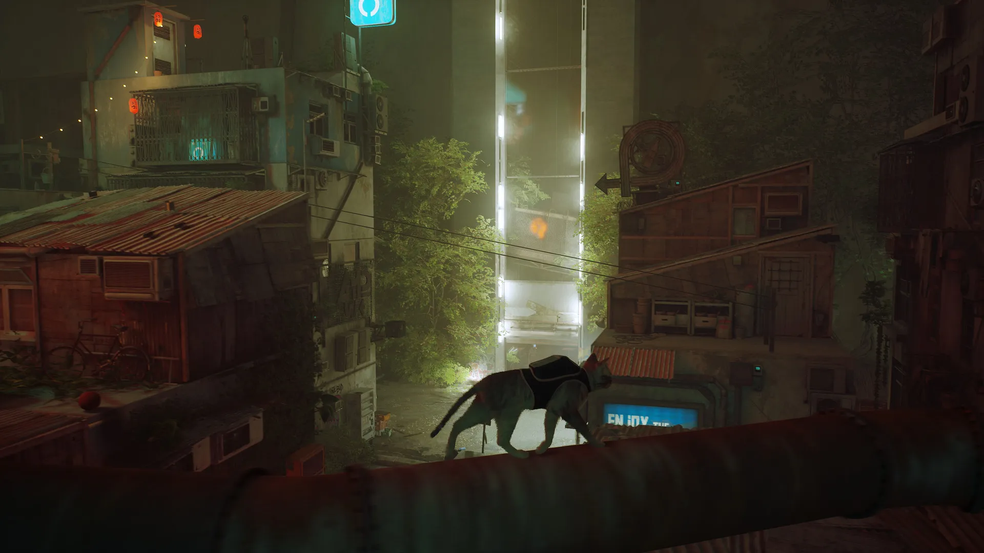 流浪 / Stray 免Steam单机游戏 一键安装版 全DLC中文绿色版 百度/夸克/迅雷 网盘下载